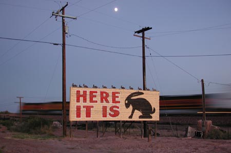 A13-Jackrabbit_AZ
