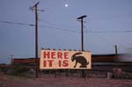 A13-Jackrabbit_AZ