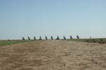 Bb01-CadillacRanch_TX