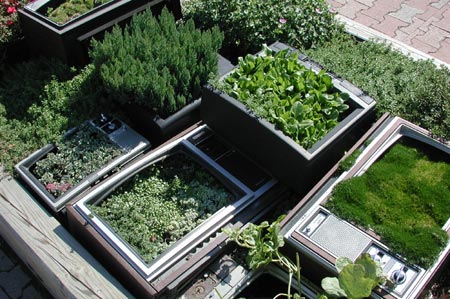 F01-TVgarden_Toronto