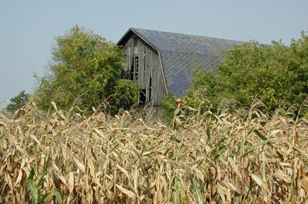 H13-Barn_NYstate