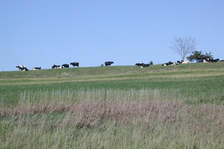 Ub08-Hwy60_WI