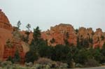 Yb55-RedCanyon_UT