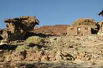 Zc19-Calico_CA